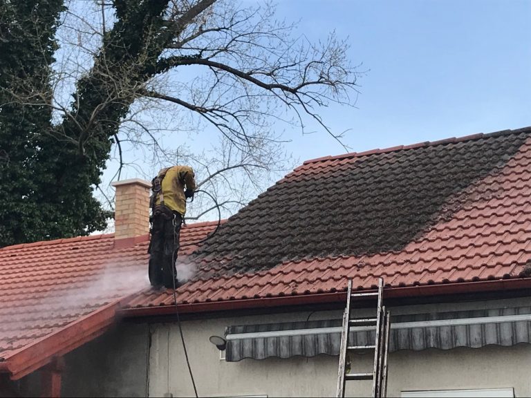 6 roof cleaning